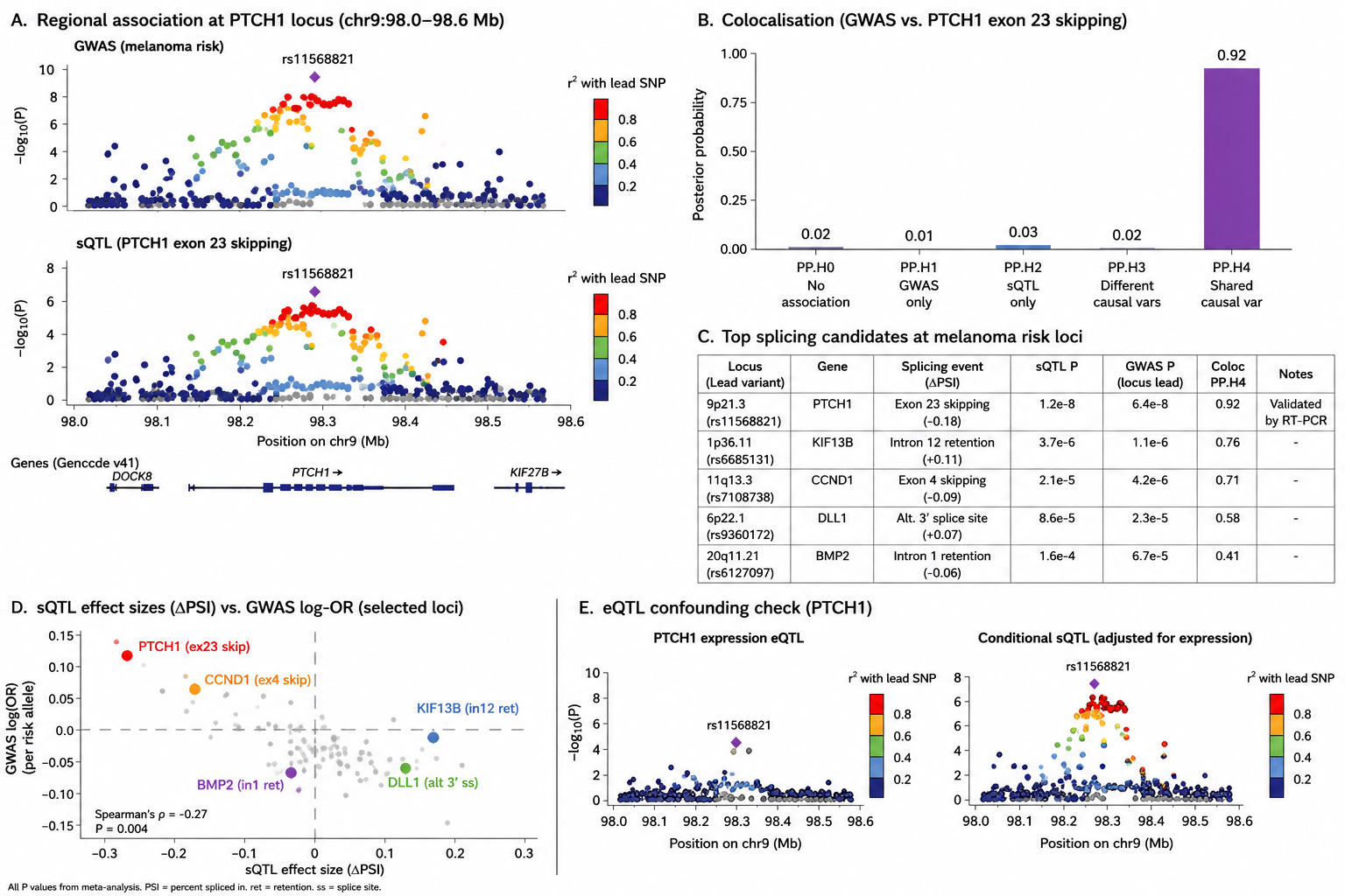 Regional association, colocalisation, and eQTL confounding checks across melanoma-risk splicing candidates