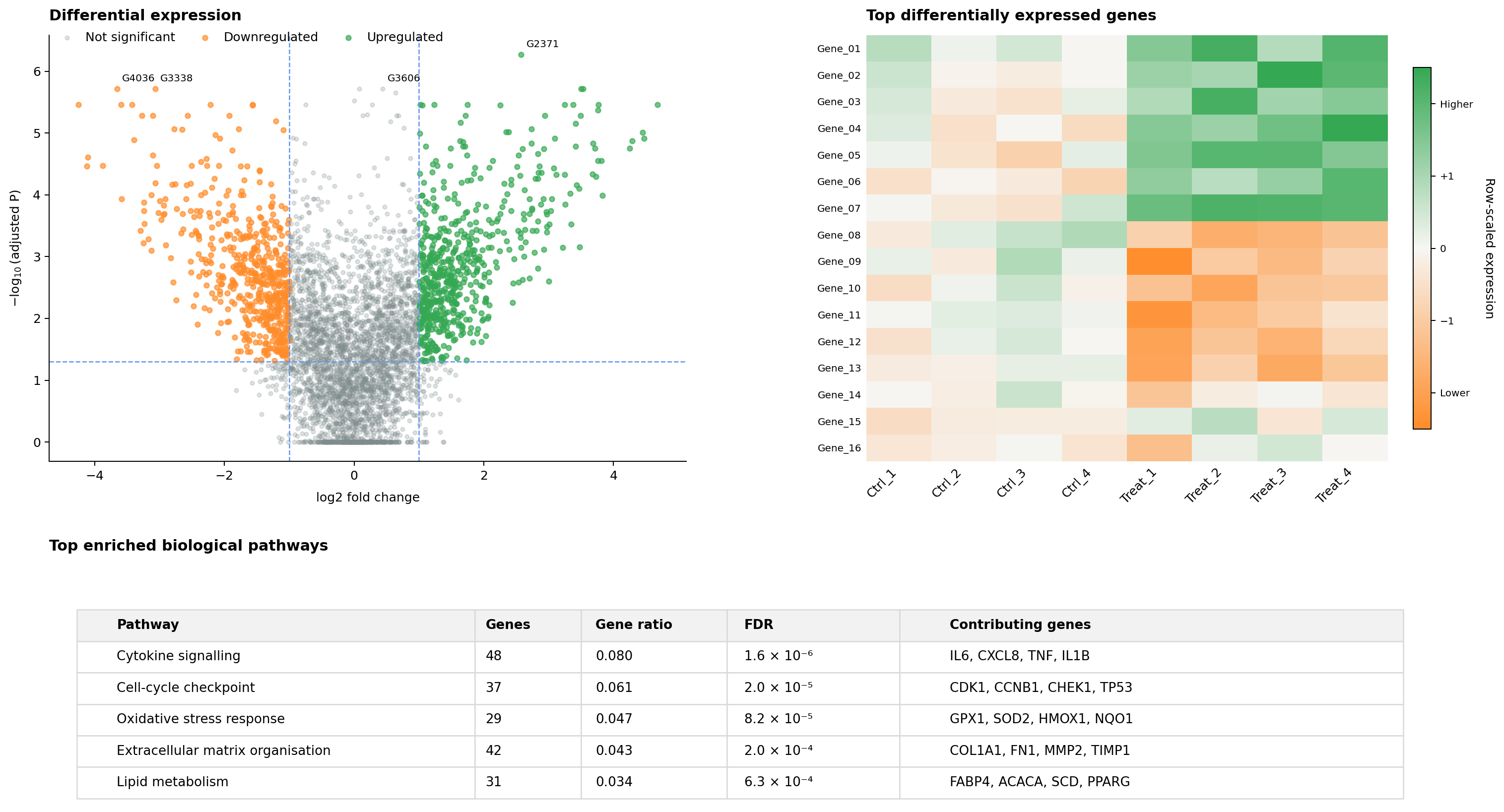 Volcano plot of differentially expressed genes, a heatmap of top DE genes across control and treatment samples, and a table of enriched biological pathways